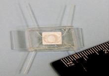 microfluid